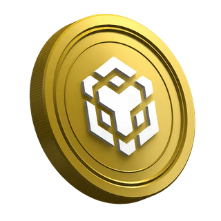 Criptovaluta BNB mostrata nella pagina della guida per il trader principiante
